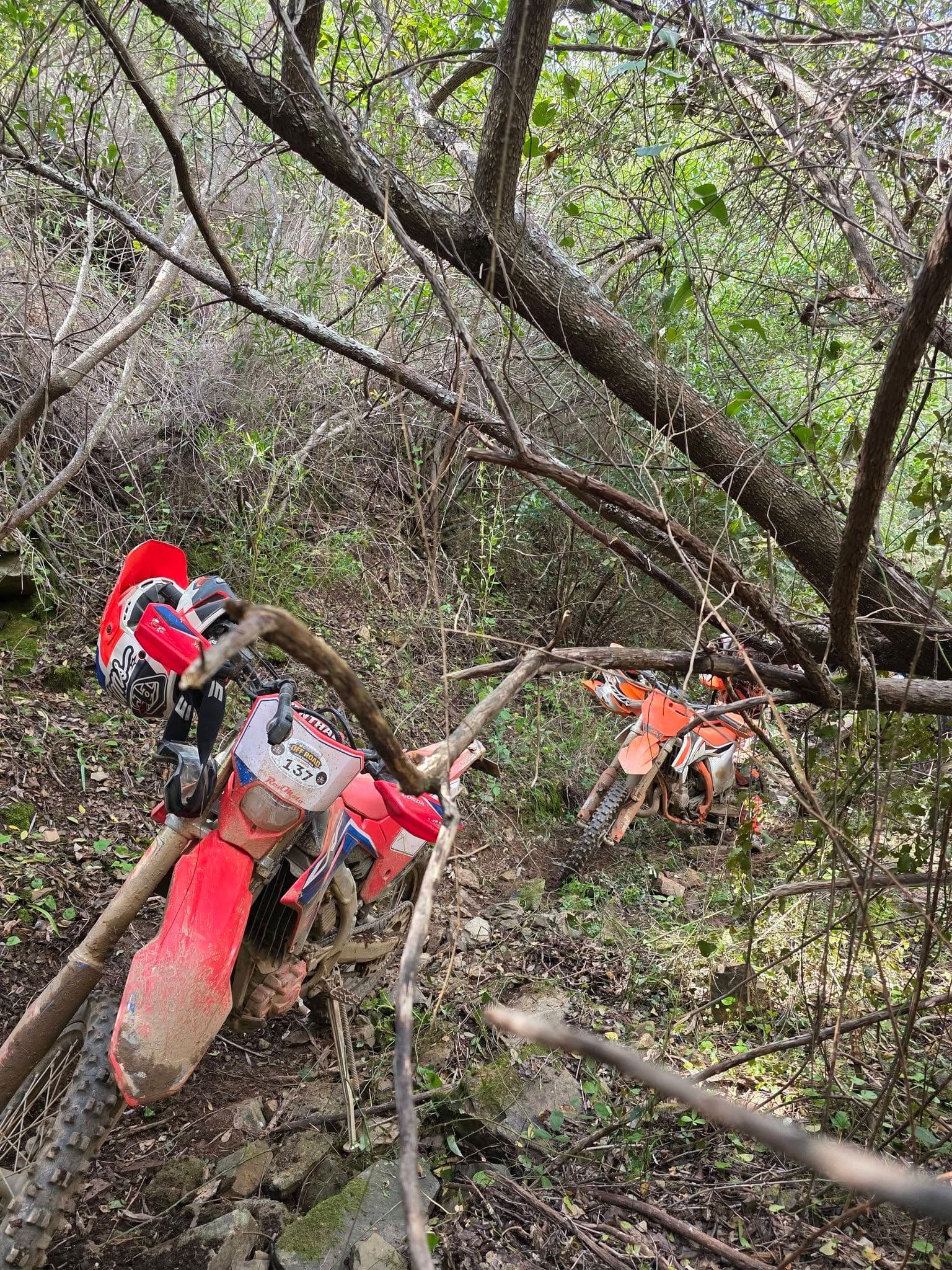 Bikes parked in the woodland during the Full Day Enduro Tour.