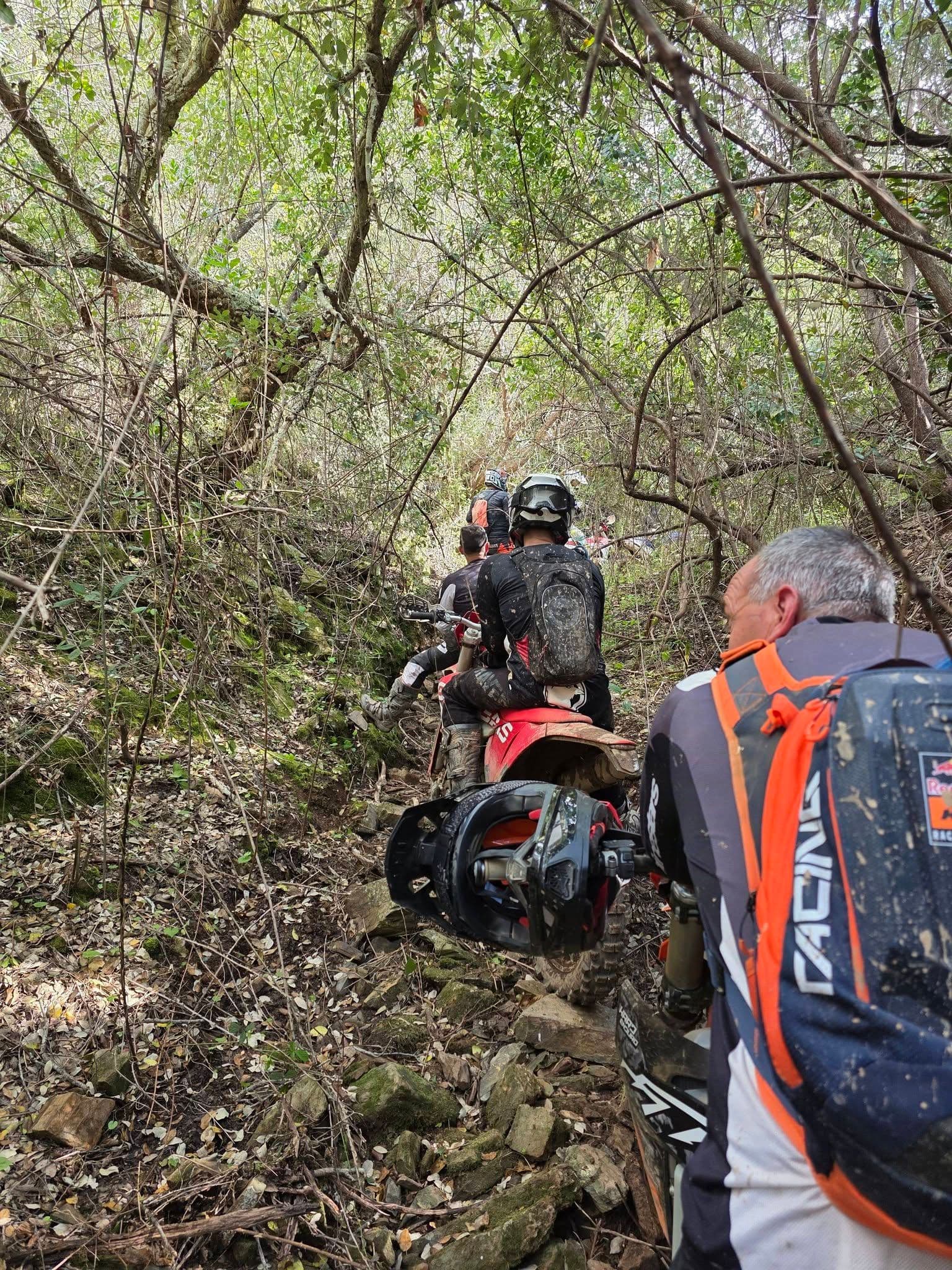 Rider choosing a line through a rocky woodland section