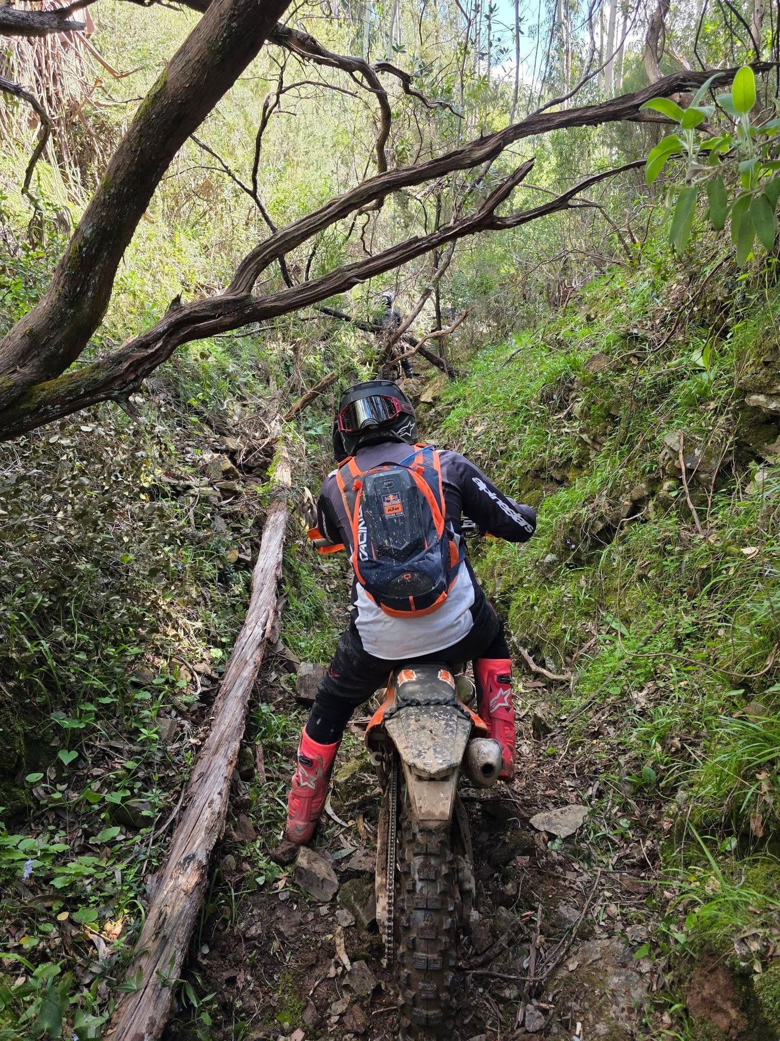 Rider picking a line down a tight rocky woodland trail